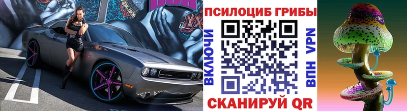 Псилоцибиновые грибы мицелий  Бийск 